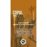 Résines de Copal