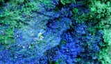 Azurite_Malachite_Vente_en_ligne