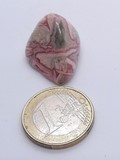 Pierre roulée rhodochrosite