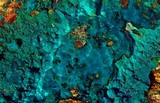 Chrysocolle_Vente_en_ligne